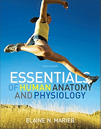 Essentials of Human Anatomy & Physiology