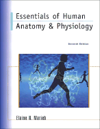 Essentials of Human Anatomy & Physiology