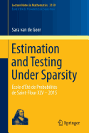 Estimation and Testing Under Sparsity: �cole d'�t� de Probabilit�s de Saint-Flour XLV - 2015