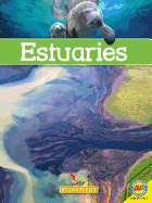 Estuaries