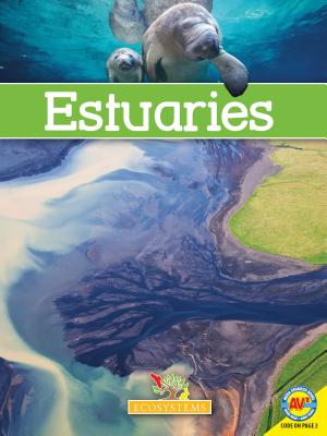 Estuaries - Rose, Simon