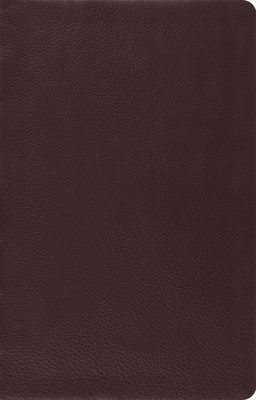 ESV Large Print Thinline Reference Bible - 