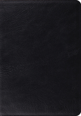 ESV Study Bible - 