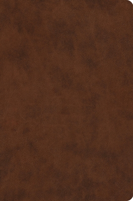 ESV Value Compact Bible - 