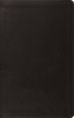 ESV Value Thinline Bible - 