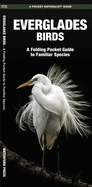 Everglades Birds: An Introduction to Familiar Species