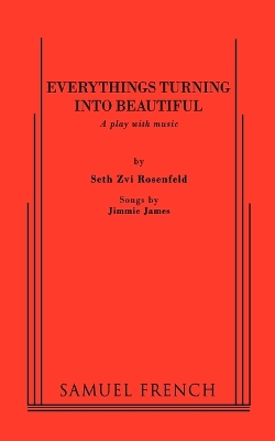Everythings Turning Into Beautiful - Zvi Rosenfeld, Seth