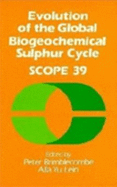 Evolution of the Global Biogeochemical Sulphur Cycle