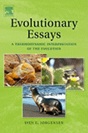 Evolutionary Essays: A Thermodynamic Interpretation of the Evolution