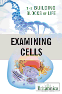 Examining Cells