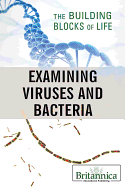 Examining Viruses and Bacteria