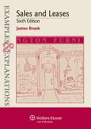 Examples & Explanations: Sales and Leases, 6th Edition