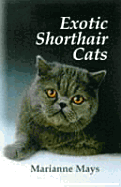 Exotic Shorthair Cats