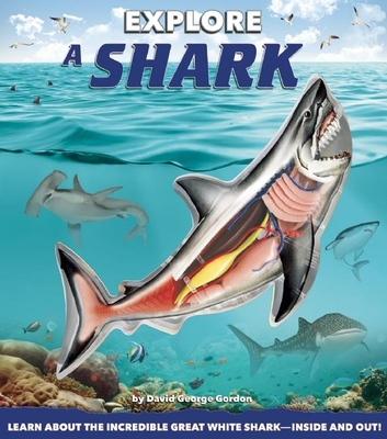 Explore a Shark - Gordon, David George, and Kitzm�ller, Christian
