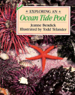 Exploring an Ocean Tide Pool