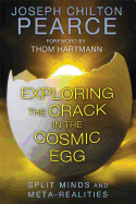 Exploring the crack in the cosmic egg : split minds and meta-realities