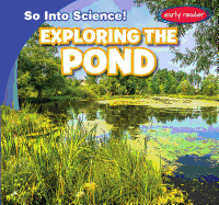 Exploring the Pond