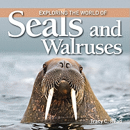Exploring the World of Seals and Walruses