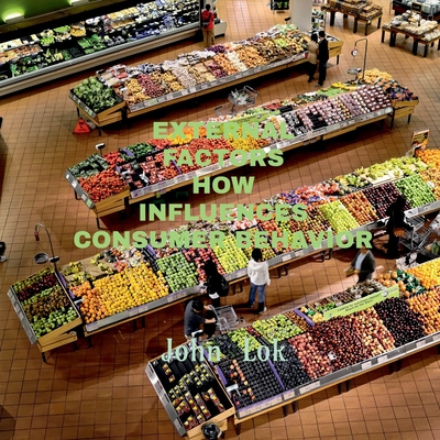 External Factors How Influences Consumer Behavior - Lok, John
