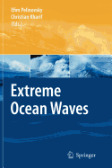 Extreme Ocean Waves