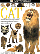 Eyewitness: Cat
