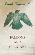 Falcons and Falconry