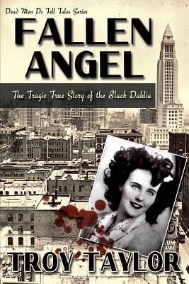 Fallen Angel - Taylor, Troy