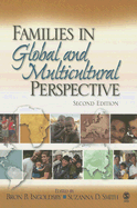 Families in Global and Multicultural Perspective