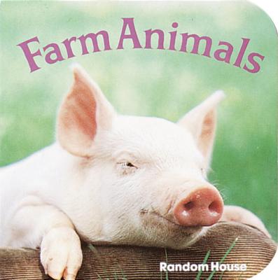 Farm Animals - Dunn, Phoebe