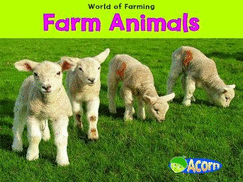 Farm Animals
