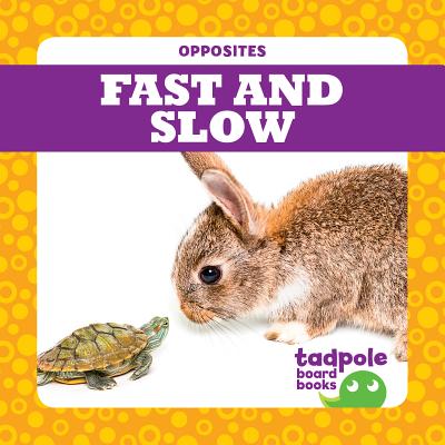 Fast and Slow - Donner, Erica
