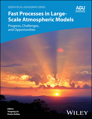 Fast Processes in Large-Scale Atmospheric Models: Progress, Challenges, and Opportunities - Liu, Yangang (Editor), and Kollias, Pavlos (Editor), and Donner, Leo J. (Consultant editor)