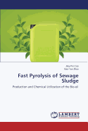 Fast Pyrolysis of Sewage Sludge