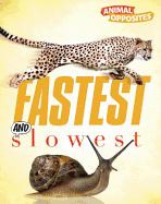 Fastest and Slowest