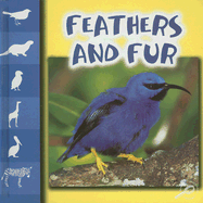 Feathers and Fur