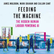 Feeding the Machine: The Hidden Human Labour Powering AI