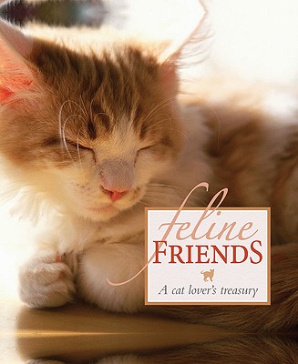 Feline Friends - Quercus