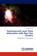 Femtosecond Laser Pulse Interaction with Rare Gas Clusters