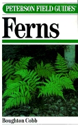 Ferns