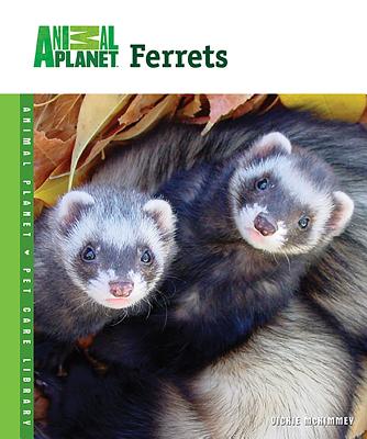 Ferrets - McKimmey, Vicky