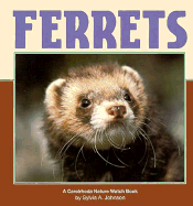Ferrets