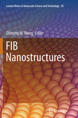 Fib Nanostructures - Wang, Zhiming M (Editor)