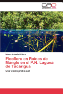 Ficoflora En Raices de Mangle En El P.N. Laguna de Tacarigua