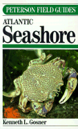 Field Guide to Atlantic Seashore