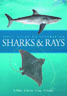 Field Guide to Australian Sharks and Rays [op] - Daley, R K, and Stevens, J D, and Last, P R