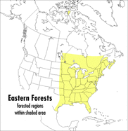 Field Guide to Eastern Forests