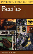 Field Guide to the Beetles