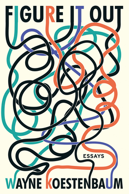 Figure It Out: Essays - Koestenbaum, Wayne