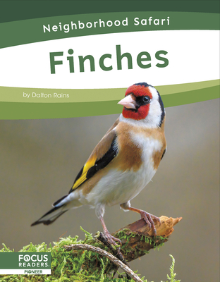 Finches - Rains, Dalton
