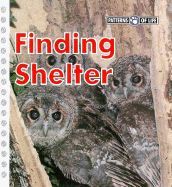 Finding Shelter